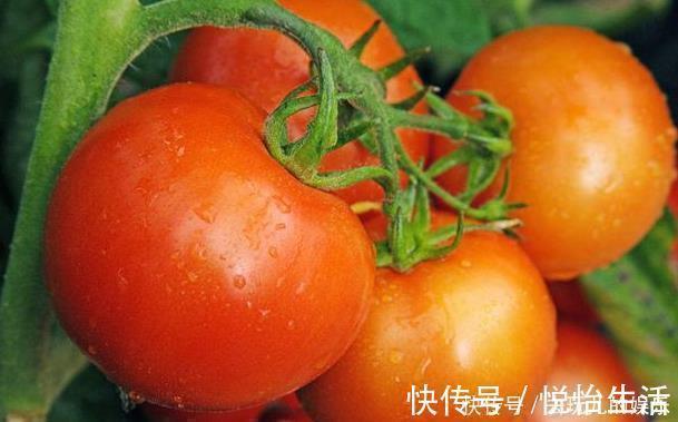 毒素|养肝排毒,多吃以下5种食物,排出毒素,给肝脏一个“大扫除”