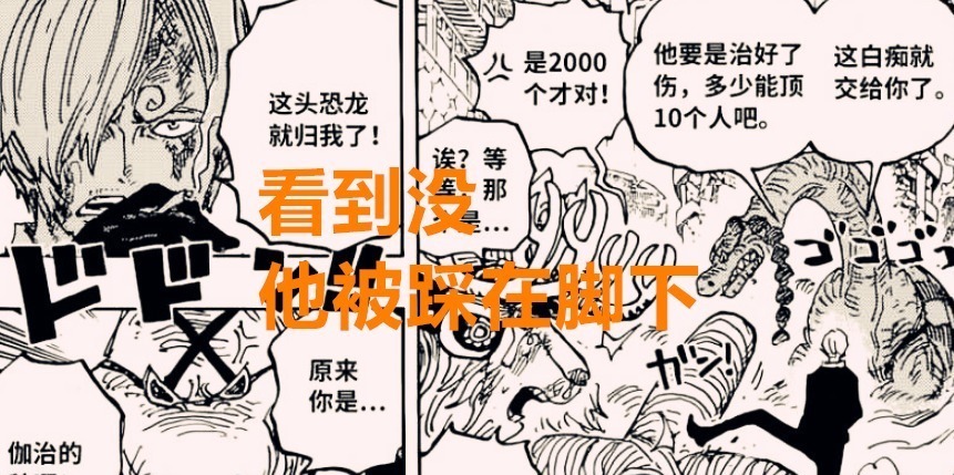 伊万科夫|海贼王1020话:网友都说索隆要比山治强,但却忽略了一个逻辑问题