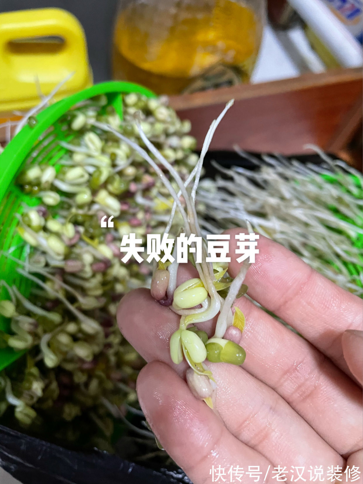 豆芽机|过来人的忠告：这8件家居用品，建议谨慎入手，不实用还积灰