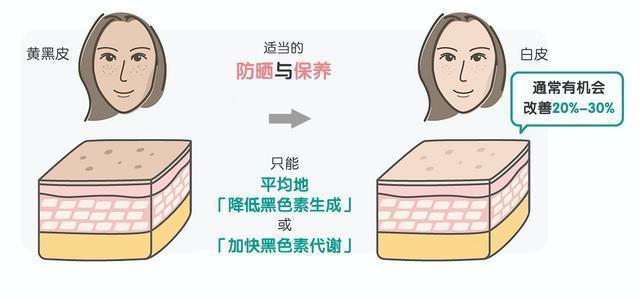 蜂蜜能淡化色斑吗效果怎么样