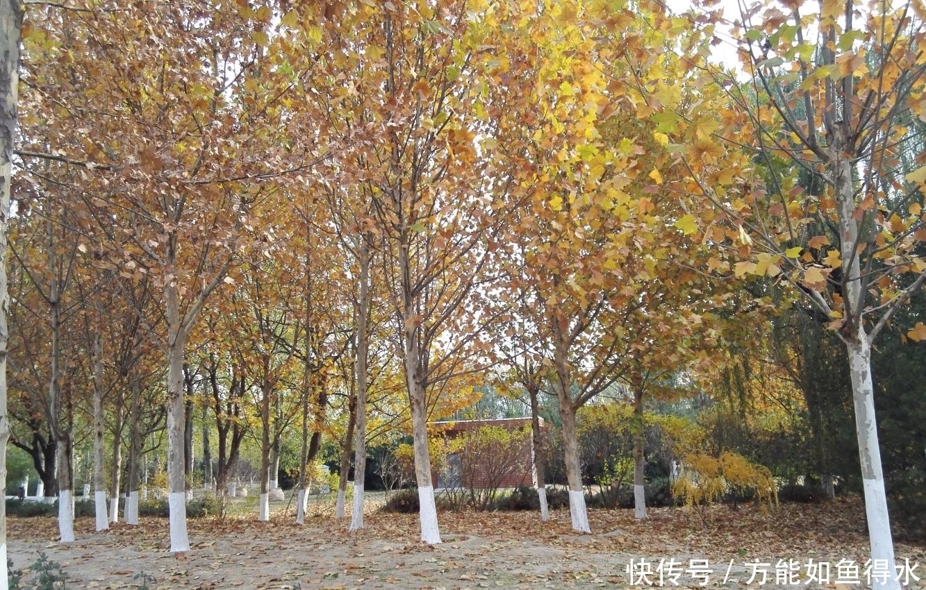 实拍北京最大的湿地，曾是五朝皇家猎场，燕京十景之一