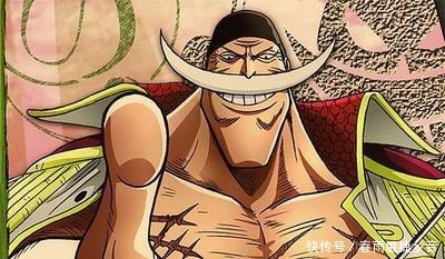白胡子|奇怪的海贼王知识增加了!那些火出次元圈的梗,每一个都超有趣
