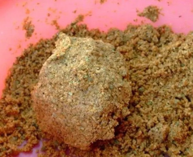 冬钓开饵的时候,很多钓友都忽略了这细节,难怪上鱼慢又小