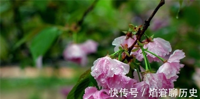 春雨$春雨相思词:柳丝长,春雨细,梦长君不知