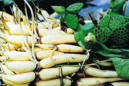 微量元素|此物天然的“胰岛素”每天经常吃,调内分泌稳血糖,好处不请自来