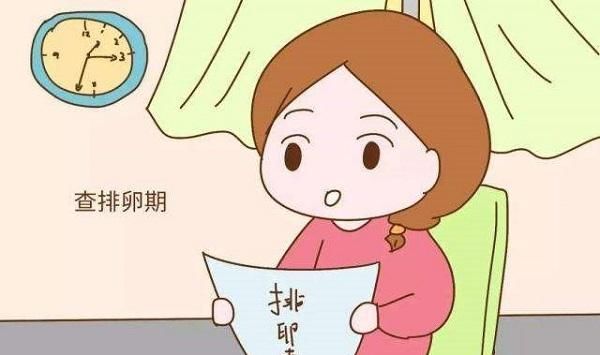 卵泡发育|排卵期吃什么有助于怀孕？排卵期吃什么简单受孕？