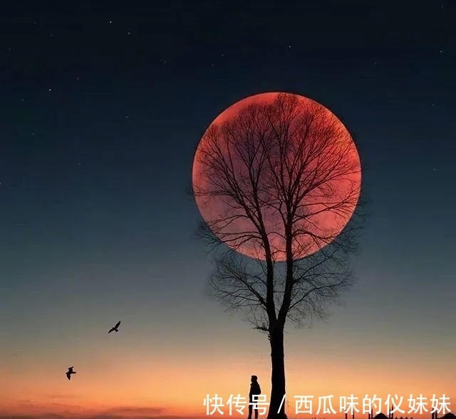 竹榭$七律·秋月思(竹榭)