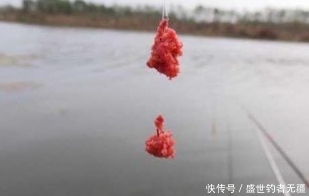 搭配饵料不能忽略的5个事项，饵料对了口，轻松爆护——盛世三渔
