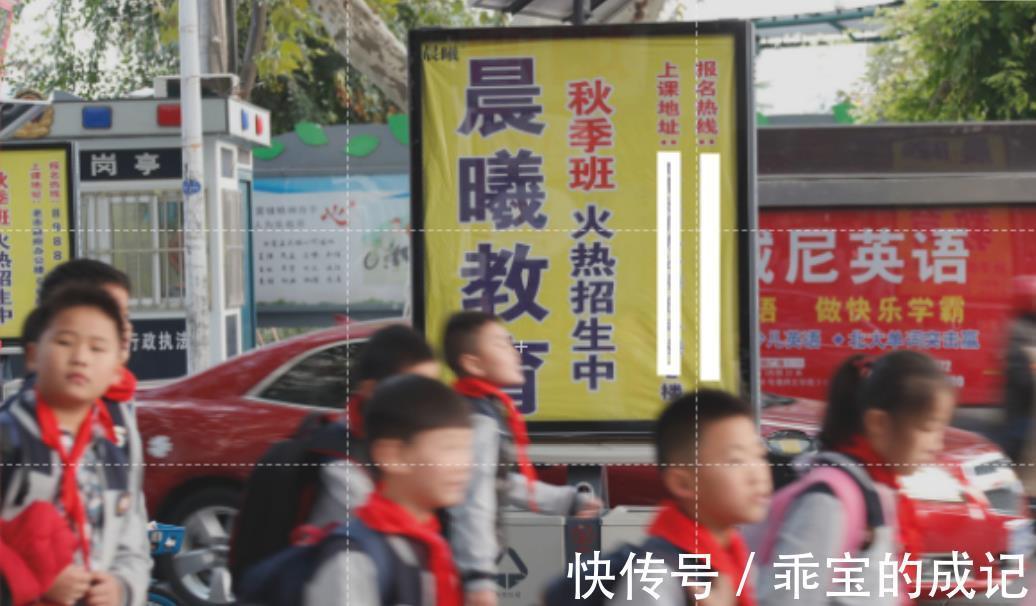 羊群|别人家娃报班我也报?家长盲目跟风,容易陷入“羊群效应”的漩涡