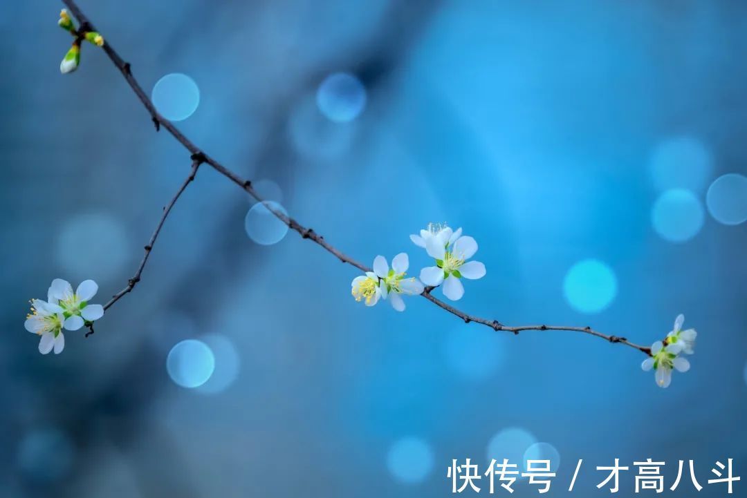 答王十二寒夜独酌有怀!古人藏在诗词里的浪漫,流转千年,再续芳华