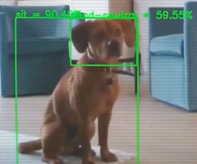 参与|CompanionPro:无需人参与的狗狗AI训练机器