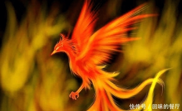 孙悟空|你不知道的古代五大凶兽,第一是朱雀祖先,第三像孙悟空