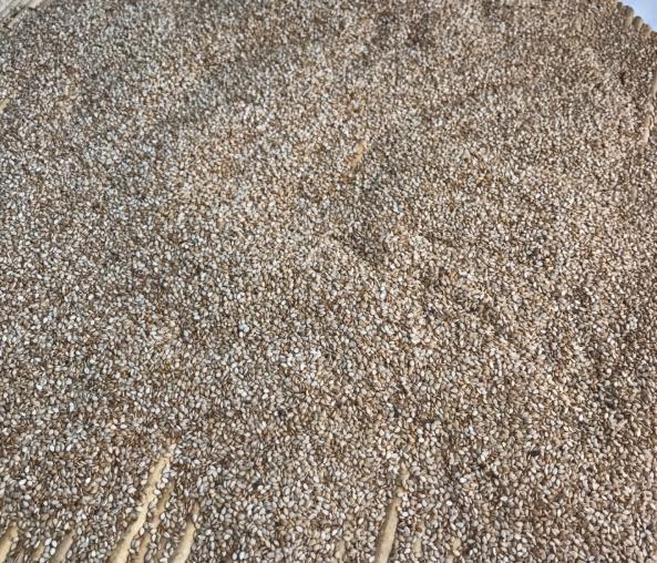 芝麻酱|想吃芝麻酱不用买，5块钱自制1大瓶，纯正无添加，做法还简单