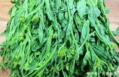 保健菜|城里人吃不到这野菜，能美容养颜，抗衰老，老农民养生就靠它！