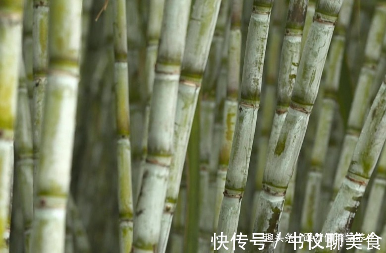 便秘|此水果是天然”补血果“,常吃气血足了,便秘好了,早吃早健康