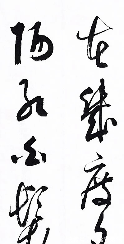 楷书$你认同吗?荆霄鹏的草书要略胜田英章的草书,更加开阔,洒脱飘逸