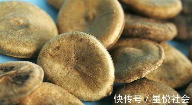 蓉蓉|是药三分毒,泡酒须谨慎,4类药材严禁泡酒,泡错了很难受