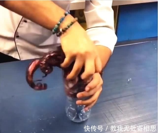 重达|小伙把重达3斤的章鱼塞进瓶子,煮了1小时,用刀一切,太意外!
