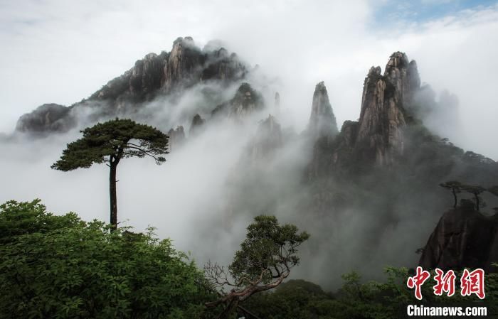 遗产|雨后江西三清山现壮美云海景观 云缠雾绕充满仙韵