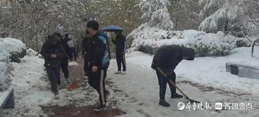 大学生|大雪下的驻济学生：校园里肆无忌惮滚雪球，那是我们的青春啊