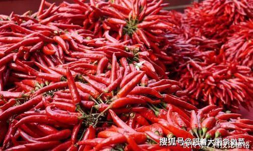 研究|研究血管60年,92岁院士提醒:高血脂除了盐和肉,这3素也要少吃