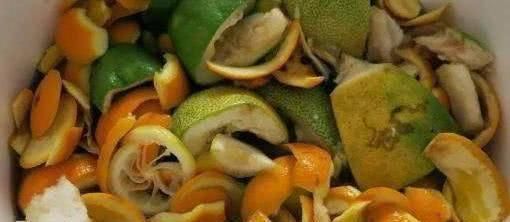 君子兰总是养不活往花盆里加点“好东西”,让植物越长越茂盛