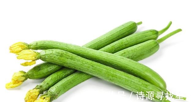 润秋燥|老一辈人说入秋,秋败丝瓜胜良药,这样吃效果好,润秋燥特养人!