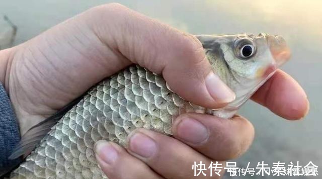 浮漂|钓点处“冒泡”,就是不见有鱼吃钩?按我说的做,每次扬竿都有鱼