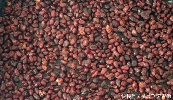 无油|最近我家常吃它,搭配一物上锅一蒸,无油低糖,冬季常吃对身体好