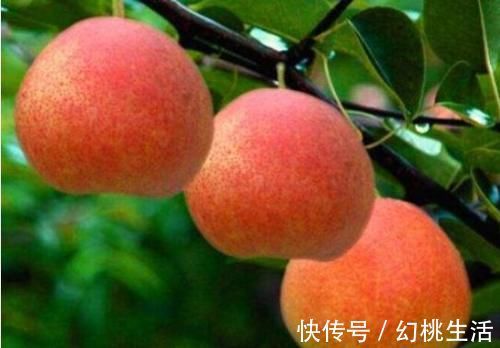 减脂|女性可以坚持吃3种食物,降压减脂,美容瘦身,越吃越年轻!