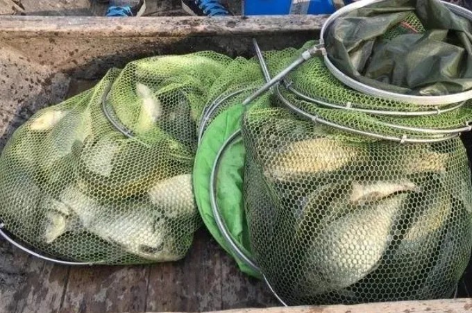 冬季打窝我可不随便!只要有这“诱鱼套路”,上鱼率特高