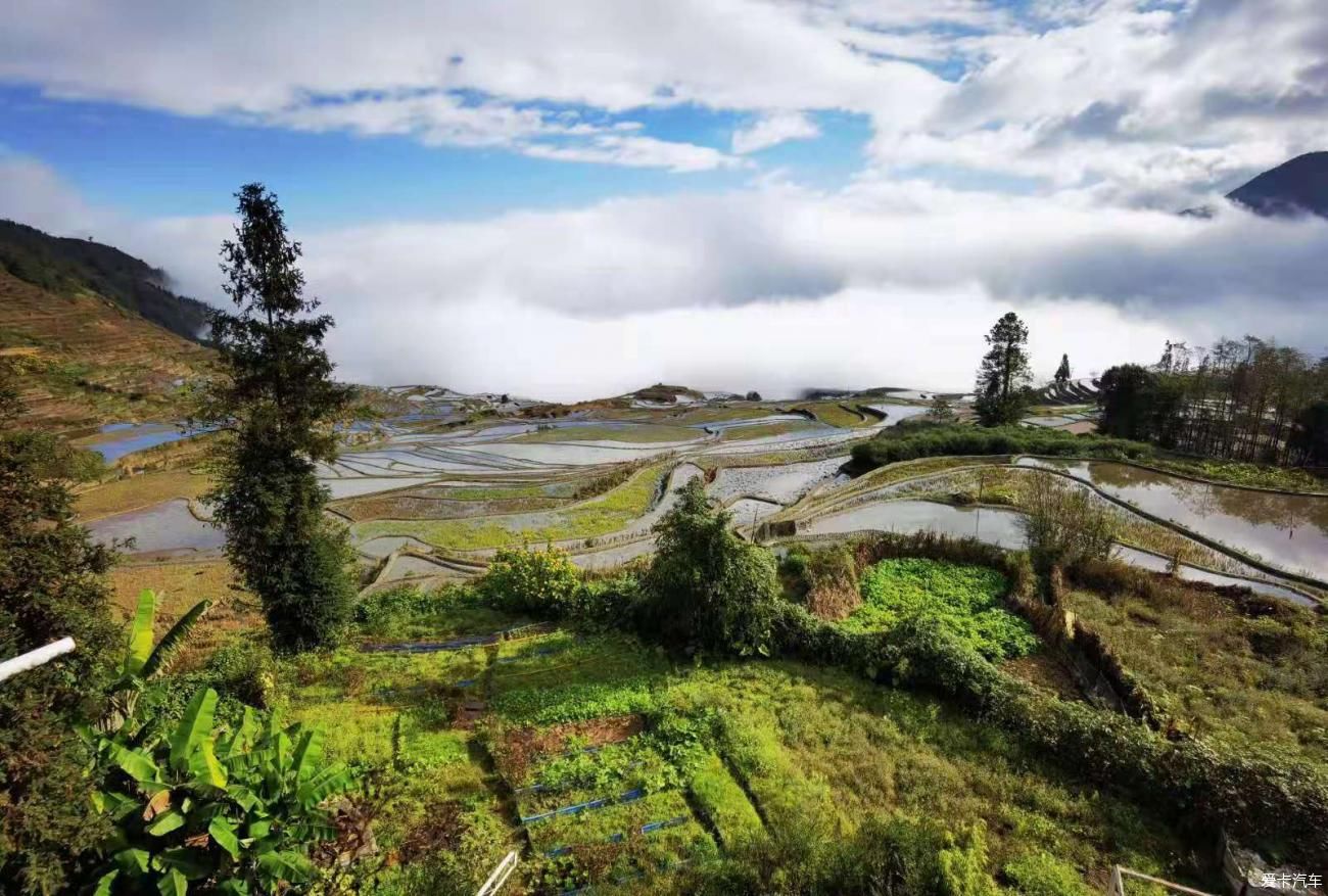 游红河哈尼族彝族自治州多依树梯田景区