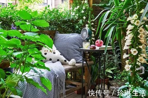 植物|这样的阳台，那院子我也不换，美得太过分，今生只做个闲人了！