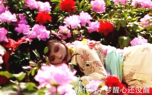 女子$红楼中那个情商最低、最不会说话的女子，凭什么赢得最多人喜欢？