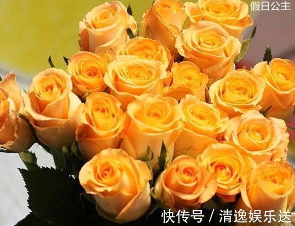 金闪闪|喜欢玫瑰,优选“高档玫瑰”假日公主,金闪闪,寓意快乐美好