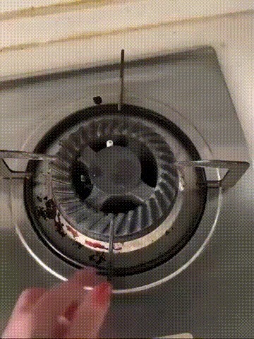 |搞笑GIF段子:珍珠归你了,那这肉能不能归我啊