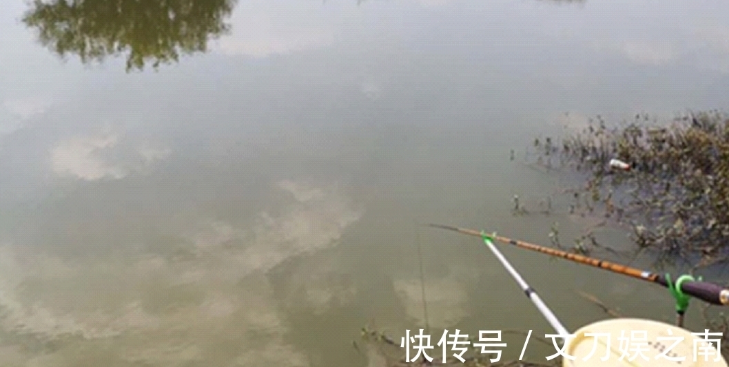 冬天|冬季钓鱼发窝慢,关键是方法要用对,快速发窝方法!