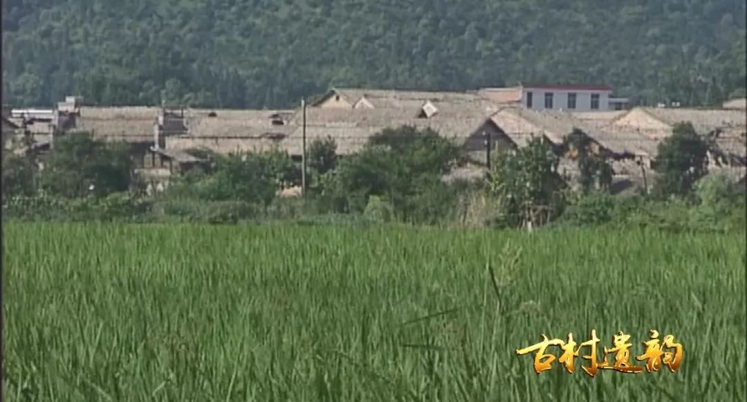 首辅|新余这个村竟出过一品“内阁首辅”,皇帝亲赐匾额!