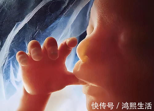 宝妈|“妹妹这么丑能嫁出去吗?”二胎刚出生,大宝就发出“灵魂”拷问