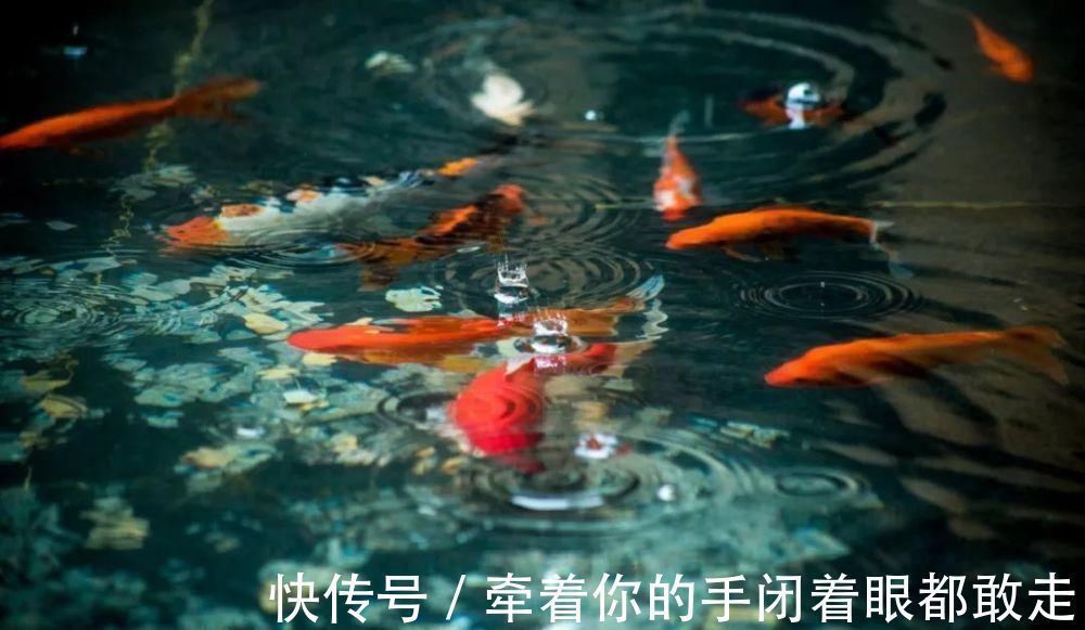 孟子!“七十三”和“八十四”,为何是民间特别忌讳的两个年龄