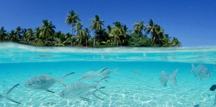 可怕 地球上的陆地如果扩大1倍,人类可能不复存在,还有更可怕的