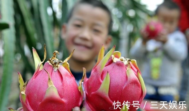 蓝莓|糖尿病患者记得吃五种水果,有效帮助降血糖