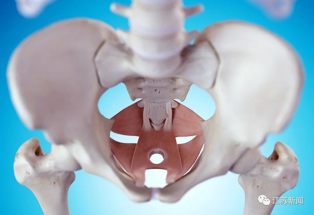 吊力|拉肚子看医生,却意外治好了多年的老便秘!病因令人意想不到