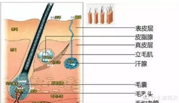 芙丽芳丝|油田肌大作战！盲撸不踩坑，12款男士清爽好物良心推荐！