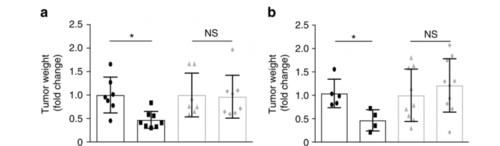 肿瘤|好心情可以“杀死”癌细胞?找到证据了