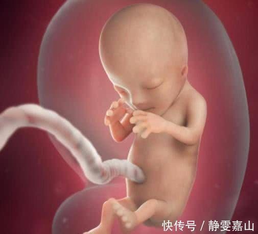 答案|胎儿在子宫里有多少个月开始长头发孕妇有什么反应专家给出答案
