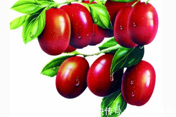 癌症研究|大枣营养价值高，常吃对3种肿瘤有预防，现在知道还不晚