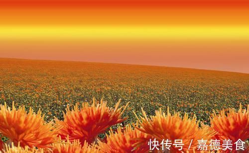 子宫|女性月经量少?坚持每天吃6种食物,或能疏通经血,子宫更健康