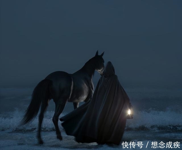 元素|国外超写实表现师,三个月构思海洋之屋,荣获1万美元