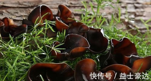 多糖类|对身体很好的3种食物,每天吃些,清热排毒,健胃消食,清肠胃